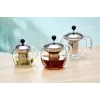 Ritzenhoff & Breker ENJOY Glasteekanne 700 ml mit Edelstahlsieb 820782