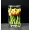 Ritzenhoff & Breker AMALIA zylindrische Glasblumenvase, transparent, Durchmesser 140 mm, 1 Stück 823882