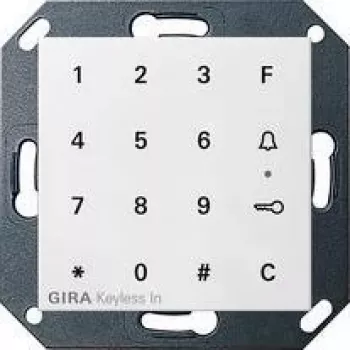 GIRA 260503 Wippe mit Lichtsymbol für System 55, Reinweiß