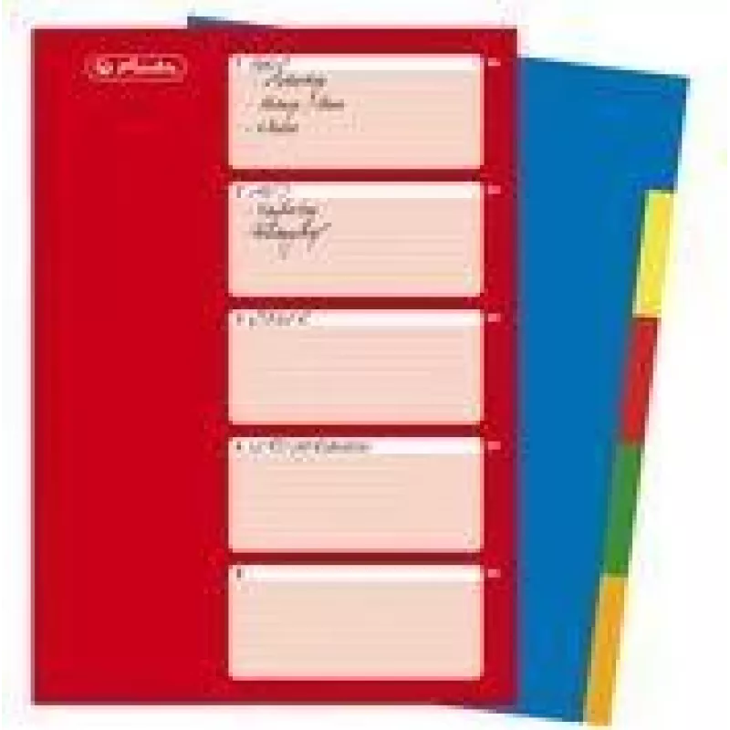 HERLITZ A4 Kunststoff-Register, 10-teilig, blanko, sortierte Farben, PP 0,12 mm, Mehrfachlochung, mit Deckblatt (10715415)