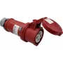AS SCHWABE 60576 CEE-Kupplung 32 A 4-polig 400 V IP44