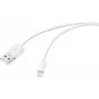 Renkforce USB 2.0 USB-A auf Apple Lightning Kabel 1m Weiß Matt RF-5724084
