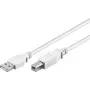 Wentronic 96186 USB 2.0 Kabel, USB-A Stecker auf USB-B Stecker, 1,8 m, Weiß