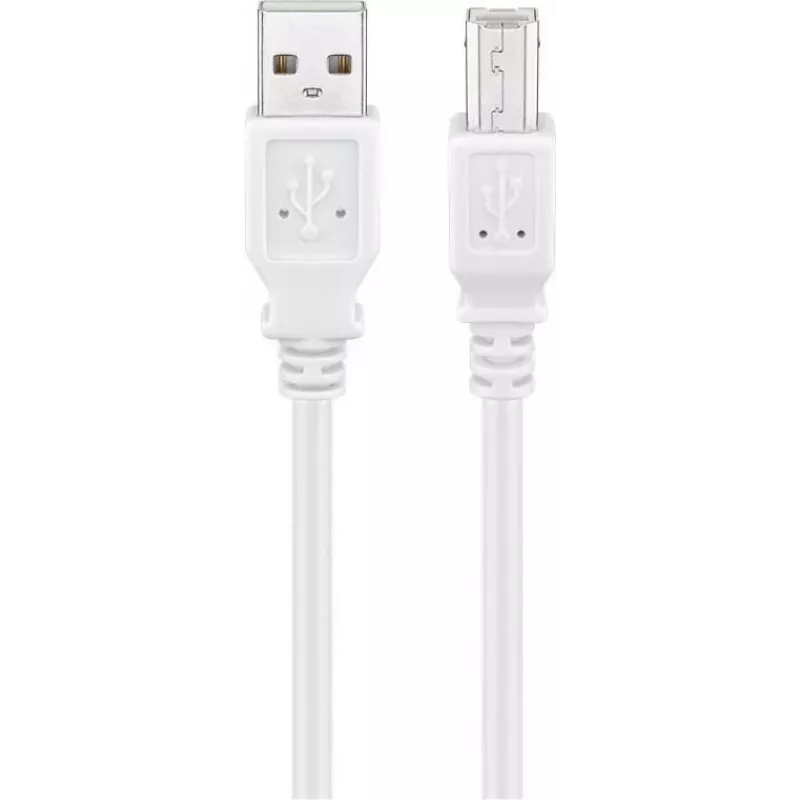 Wentronic 96186 USB 2.0 Kabel, USB-A Stecker auf USB-B Stecker, 1,8 m, Weiß
