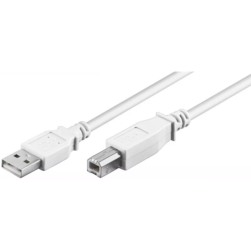 Wentronic 96186 USB 2.0 Kabel, USB-A Stecker auf USB-B Stecker, 1,8 m, Weiß