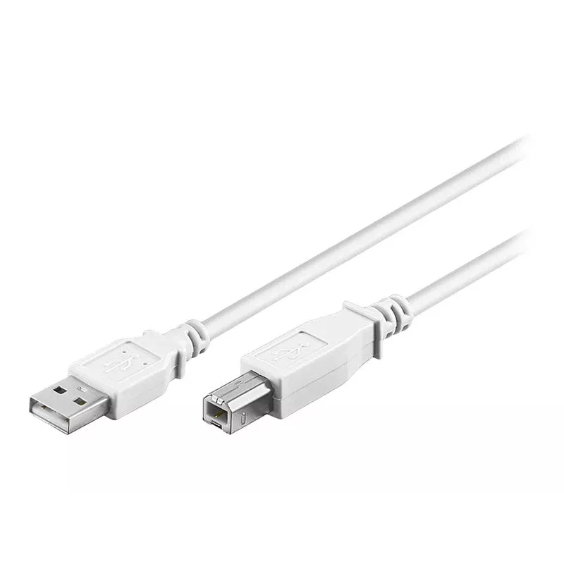 Wentronic 96186 USB 2.0 Kabel, USB-A Stecker auf USB-B Stecker, 1,8 m, Weiß