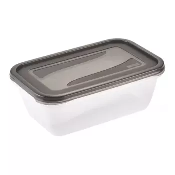 keeeper fredo fresh Lebensmittel-Aufbewahrungsbehälter-Set, 2 x 3,3 L, rechteckig, transparent mit grauen Deckeln 3068082700000