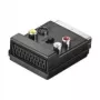Wentronic AVK 198 SCART auf 3x RCA/S-Video Adapter, Schwarz 50312