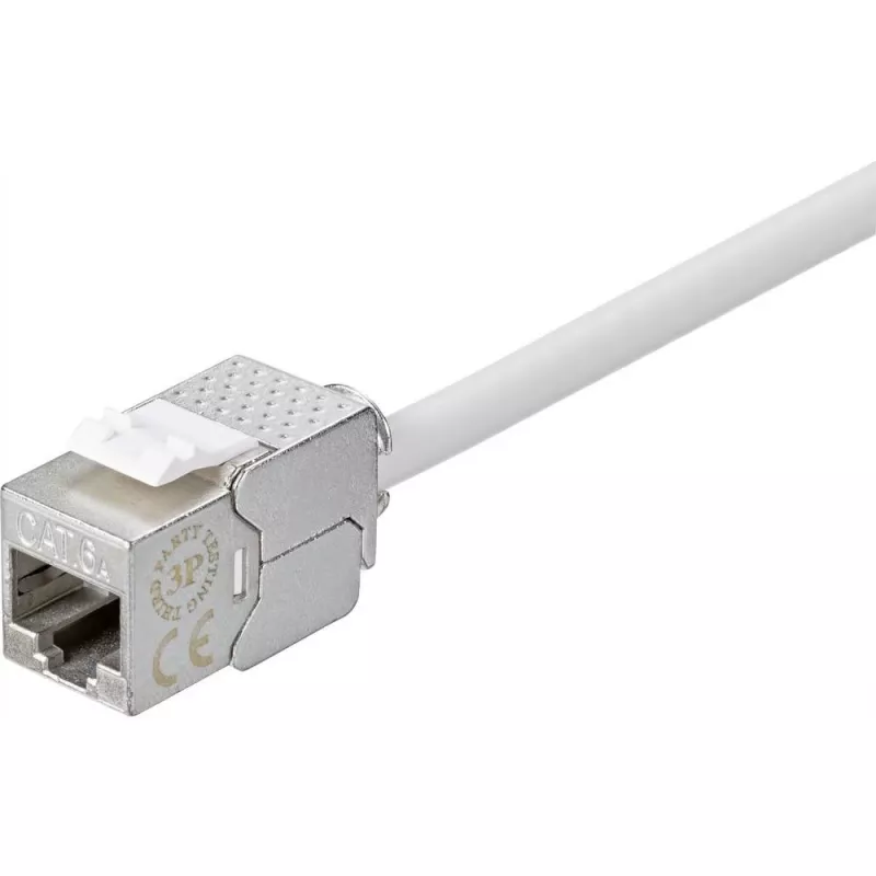 Renkforce RF-4531196 RJ45 Kupplung Cat.6a geschirmt Silber