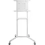 PureLink PureMounts Mobiler TV-Ständer, Weiß (PM-CART-80W)