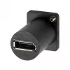 EXSYS EX-49172 D-Typ Adapter USB-C Buchse auf DisplayPort Buchse