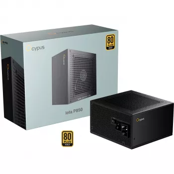 OCYPUS Iota P850 Schwarz 850W 80 PLUS Gold Vollmodulares ATX 3.0 PCIe 5.0 Netzteil