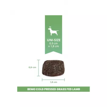 BEMO Kaltgepresstes Lamm aus Weidehaltung - Trockenfutter für Hunde - 3kg
