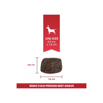 BEMO Kaltgepresstes Rind Angus Mono Trockenfutter für Hunde 3kg
