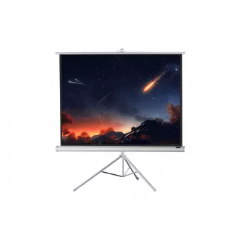 celexon Economy Stativ-Leinwand 133 x 133 cm White Edition