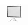 celexon Economy Stativ-Leinwand 133 x 133 cm White Edition