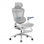 SIHOO DORO C300 Pro Mesh Ergonomischer Bürostuhl mit Fußstütze, Weiß