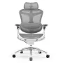 Sihoo DORO C300 Pro Ergonomischer Mesh-Bürostuhl Weiß