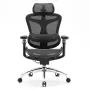SIHOO DORO C300 Pro Mesh Ergonomischer Bürostuhl Schwarz