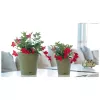 STEFANPLAST Blumentopf mit Untersetzer Ethica Ø40x39cm Grün