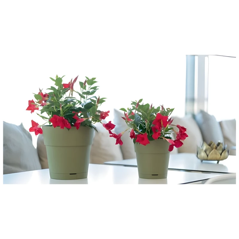STEFANPLAST Blumentopf mit Untersetzer Ethica Ø40x39cm Grün