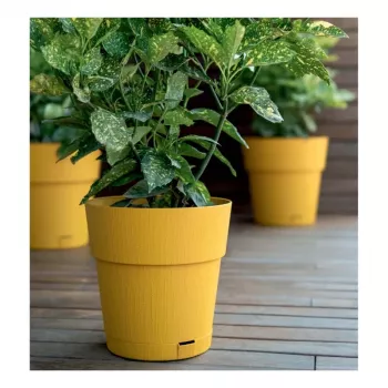 STEFANPLAST Ethica Runder Blumentopf mit Untersetzer, 25 cm, Senfgelb