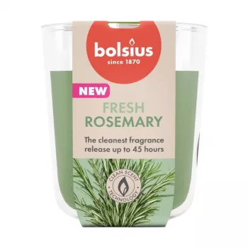 BOLSIUS True Scents Rosmarin Duftkerze im Glas, 80x73 mm
