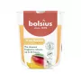 BOLSIUS True Scents Mango Duftkerze im Glas Ø80x73mm