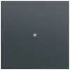 Gira System 70 Wippe mit Kontrollfenster, Anthrazit (329073)