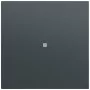 Gira System 70 Wippe mit Kontrollfenster, Anthrazit (329073)