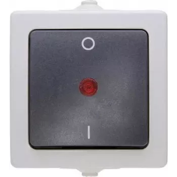 HEINRICH KOPP Nautic Einpoliger Aufputzschalter, IP44, Grau, 10A 250V AC 565296007