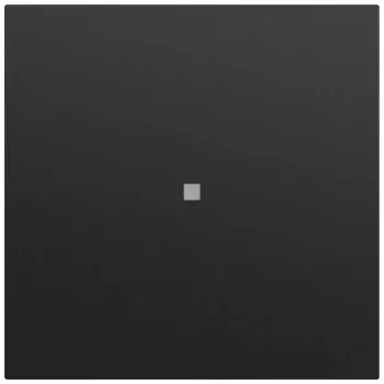 Gira System 70 Wippabdeckung mit Kontrollfenster, Mattschwarz 329074
