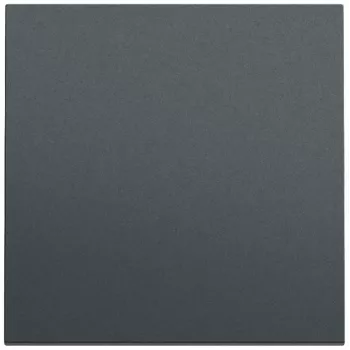 GIRA 329673 Wippe System 70 Anthrazit lackiert