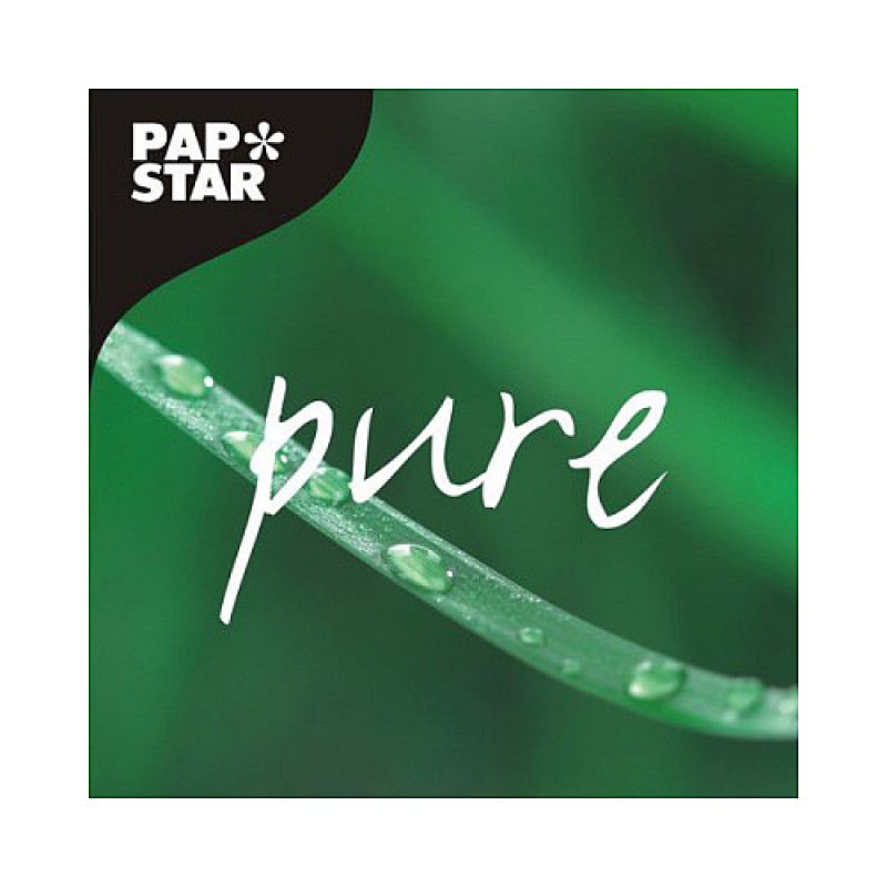PAPSTAR Zahnstocher pure braun (16692)
