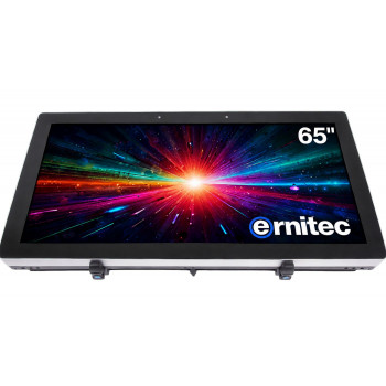 Ernitec 65 inch 24/7 4K UHD Monitor (0070-24165-HB3000-L)