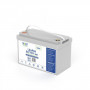 Volt Polska LiFePO4 Lithium-Eisenphosphat-Akku 12V 100Ah, 100A