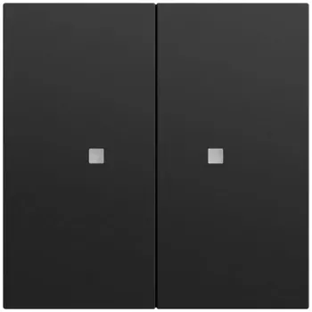 GIRA 517374 Wipptaster 2-fach OneKNX System 70 Schwarz (517374)