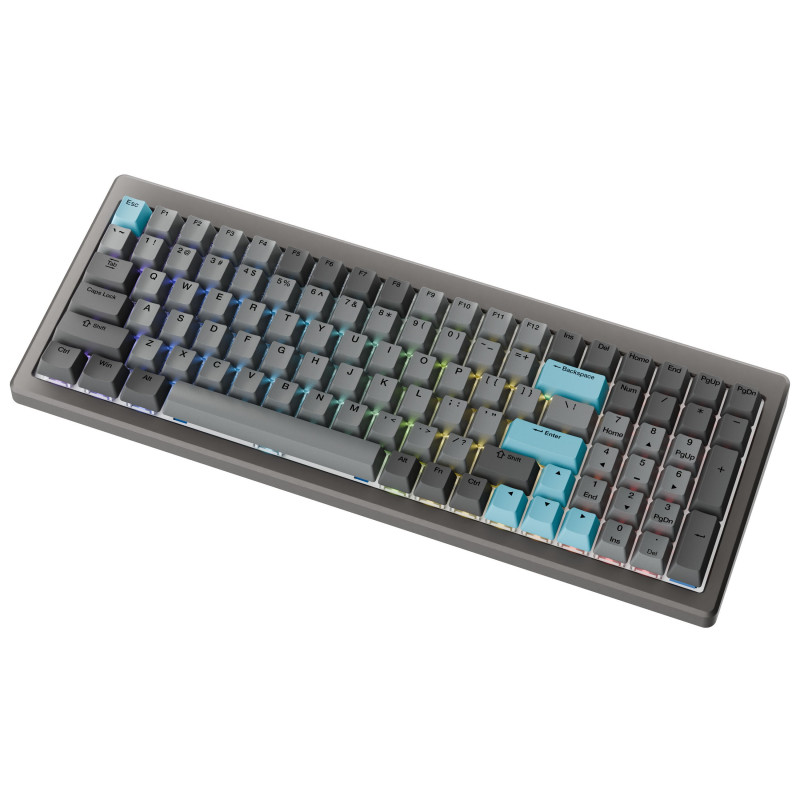 Ducky Cushion 98 Gaming-Tastatur, 96%, US-Layout (ANSI), Shush Red Switches - Nickel (DKCUS2598-DSUSPHCC3H1)