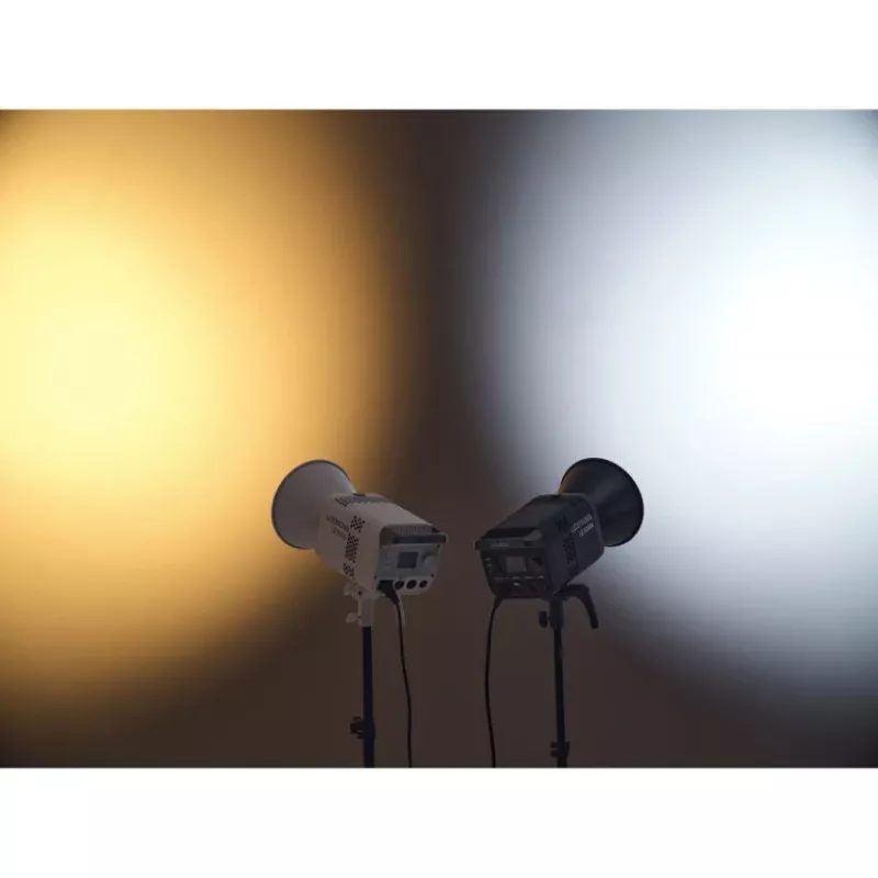 Godox Litemons LE300Bi LED-Lampe Bi-Color weiß