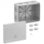 Spelsberg Abox Pro 250-L Abzweigkasten, IP66/IP67/IP69, 42540001