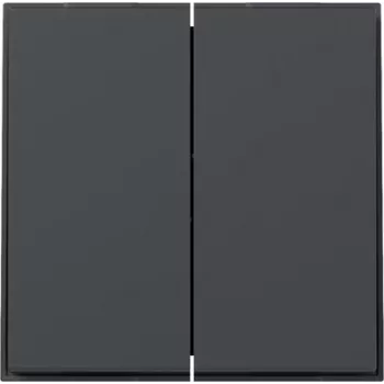 Gira TX44 Wippe 2-fach gerade, anthrazit, 349567