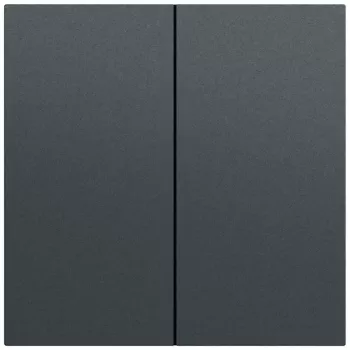 Gira System 70 Wippe 2-fach, anthrazit lackiert, 329573