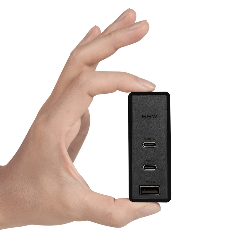 FSP 65W PD 2-Pol USB Typ-C Netzteil