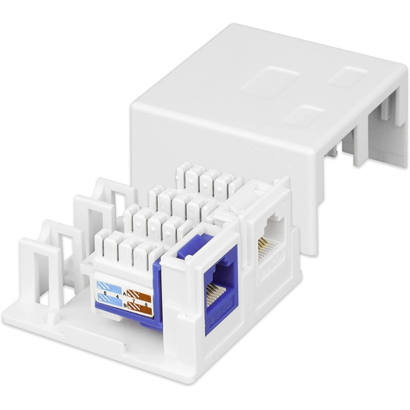 Techly 366310 Aufputzdose für 2 Keystone-Module RJ45 oder RJ11/12