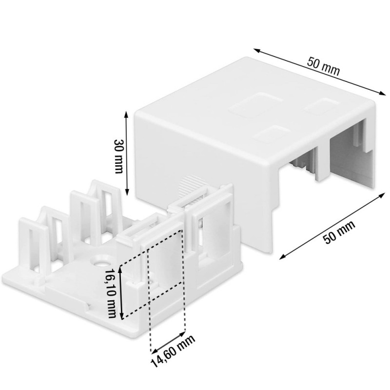Techly 366310 Aufputzdose für 2 Keystone-Module RJ45 oder RJ11/12