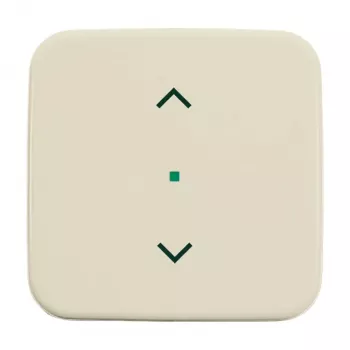 Busch-Jaeger 6232-10-212 Wippe 1-fach mit Symbol Jalousie (6220-0-0081)