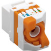 Techly 028573 Keystone-Modul RJ45 UTP Cat6, selbstklemmend, für PoE