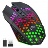 GameBox Gaming-Maus RGB 2,4GHz kabellos Hohles Gehäuse + USB-Aufladung 1600 DPI Schwarz