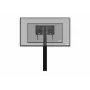 celexon Expert elektrisch höhenverstellbarer Displayständer Adjust-4275WB
