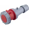 Sygonix SY-6796258 CEE-Kupplung 63 A 5-polig 400 V/AC